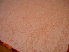 webdscn5111