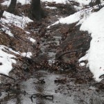 Waterfall in Lindenwood Park